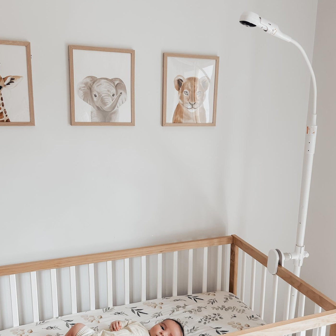 Baby Monitors & Cameras